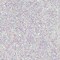 WOW! Glitter Embossing Powder - White Iridescent Sparkle - Sparkling Snow